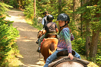 Reiten im Bayerischen Wald